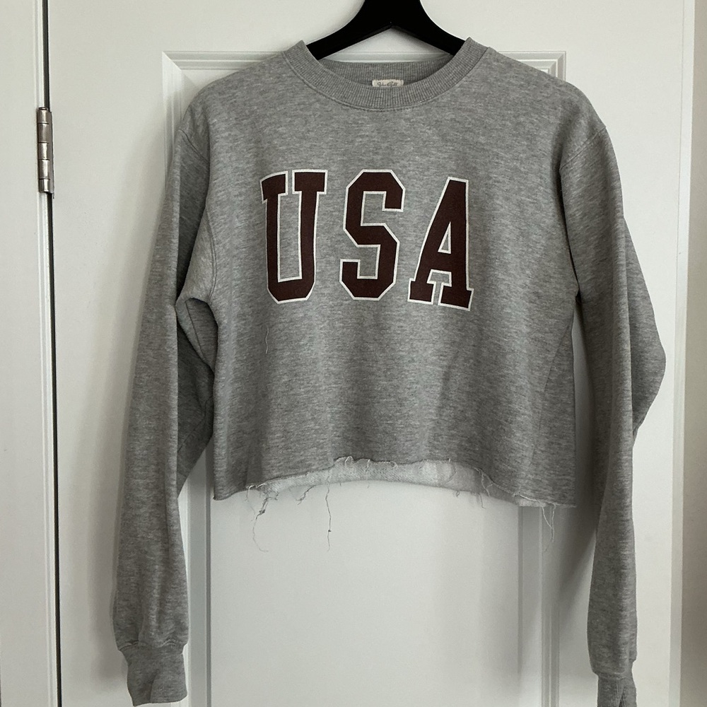 Pacsun Gray USA Cropped Sweatshirt